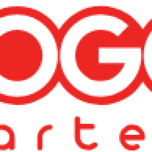 gogo charters logo